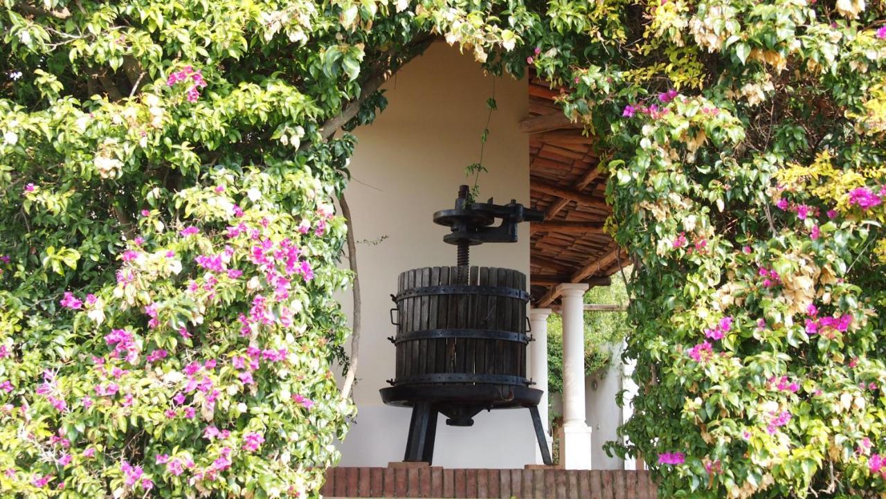 B&B Casa Gemma ลาเมเซ แตร์เม ภายนอก รูปภาพ