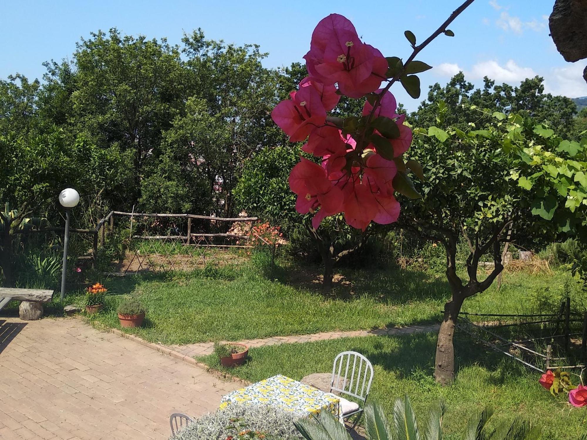 B&B Casa Gemma ลาเมเซ แตร์เม ภายนอก รูปภาพ